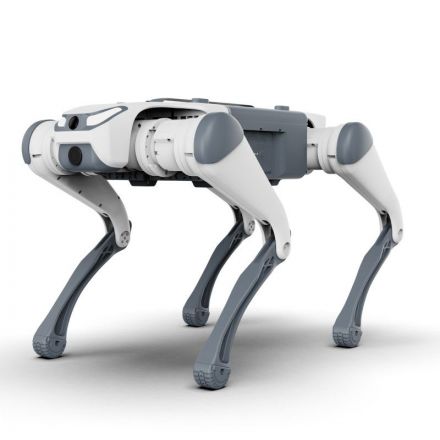 DEEP Robotics SID1 Basic