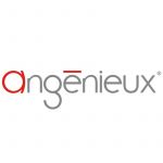 Angenieux E-Mount für EZ-1 und EZ-2 Objektiv Wechselmount