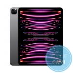 Apple iPad Pro 12.9 Wi-Fi 256 GB spacegrau - 6. Gen 8-Core