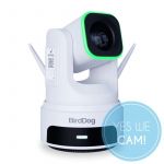 BirdDog X4 Ultra White  Livestream