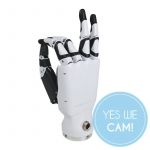 Inspire Robots Dexterous Robotic Hands RH56DFX