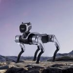 Magicdog EDU Roboterhund mit LED-Gesicht im Outdoor-Einsatz auf Felsen, frontale Ansicht bei Tageslicht

