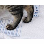 PETKIT Hochleistungskatzenstreu Matte für PUROBOT ULTRA, kratzfest