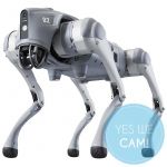 Unitree Go2 EDU Plus - TONEART-Shop