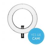 Walimex Pro LED Ringleuchte 380 Bi Color RLL-380BV