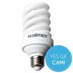 Walimex Studioset Daylight 600/600 mit Lichtwürfel Spirallampe