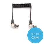 Wooden Camera Coiled BNC to BNC (10’’) Spiralkabel