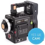 Wooden Camera Trigger Handle (RED Weapon/Scarlet-W/Raven) Halt