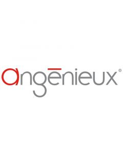Angenieux E-Mount für EZ-1 und EZ-2 Objektiv Wechselmount