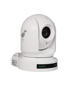 BirdDog Eyes P200 White PTZ