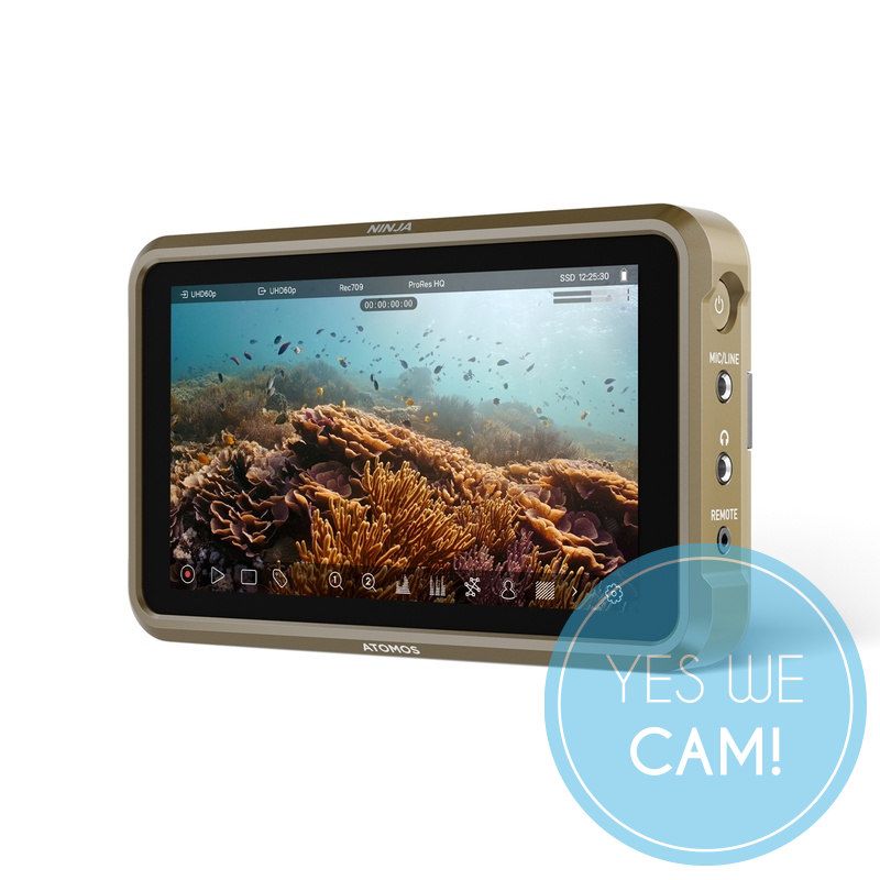 Atomos Ninja kaufen