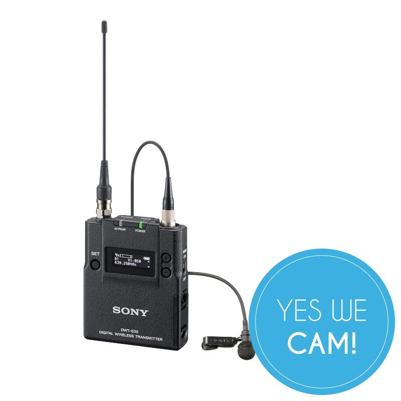SONY DWT-B30/L Kaufen