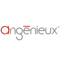 Angenieux EF-Mount für EZ-1 und EZ-2 Objektiv Wechselmount