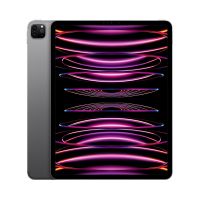Apple iPad Pro 12.9 Wi-Fi spacegrau - 6. Gen. Tablet