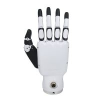 Dexterous Robotic Hands RH56BFX