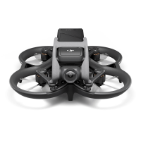 DJI Avata Kaufen
