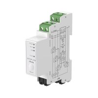 EcoFlow X Shelly Smart Meter Echtzeit Strommessung