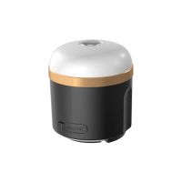 EcoFlow Campinglampe Modus