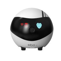 ENABOT EBO-Air Advanced Version Roboter