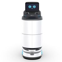 OrionStar LuckiBot Pro Autodoor Service Roboter