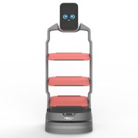 OrionStar LuckiBot Bot