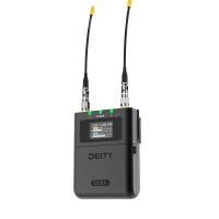 THEOS D2RX Dual-Channel Wireless kaufen