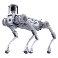 Unitree B2 bot