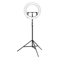 Walimex Pro LED Ringleuchte 500 Bi Color Set1 Light