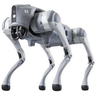 Robots & AI Companions